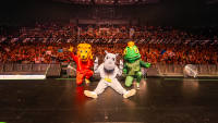 18. Okt. 2026, 17:00 Uhr | Große EWE ARENA